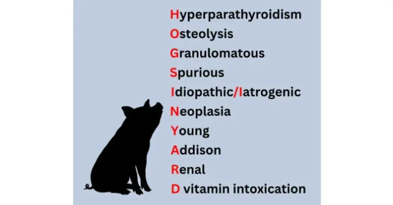 Hypercalcaemia: when might you find it, and when should you look?