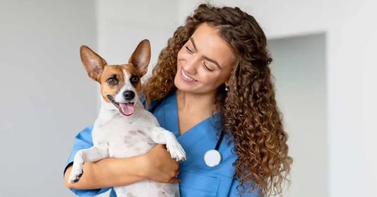 Purina: working with Vet Times to support the next generation of vets
